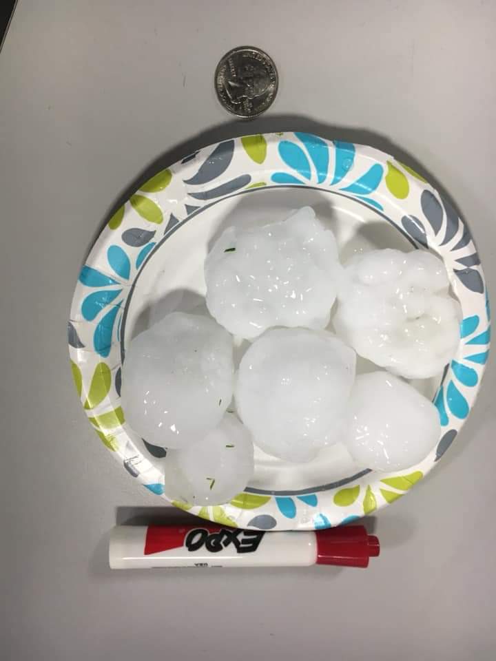 FB_IMG_1565104878762